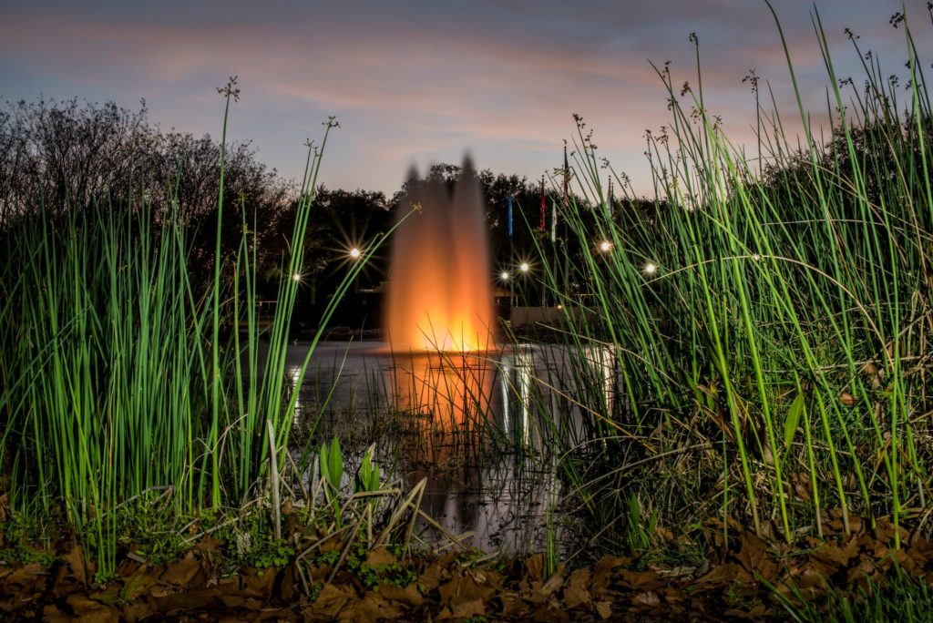 Image of Largo Central Park.