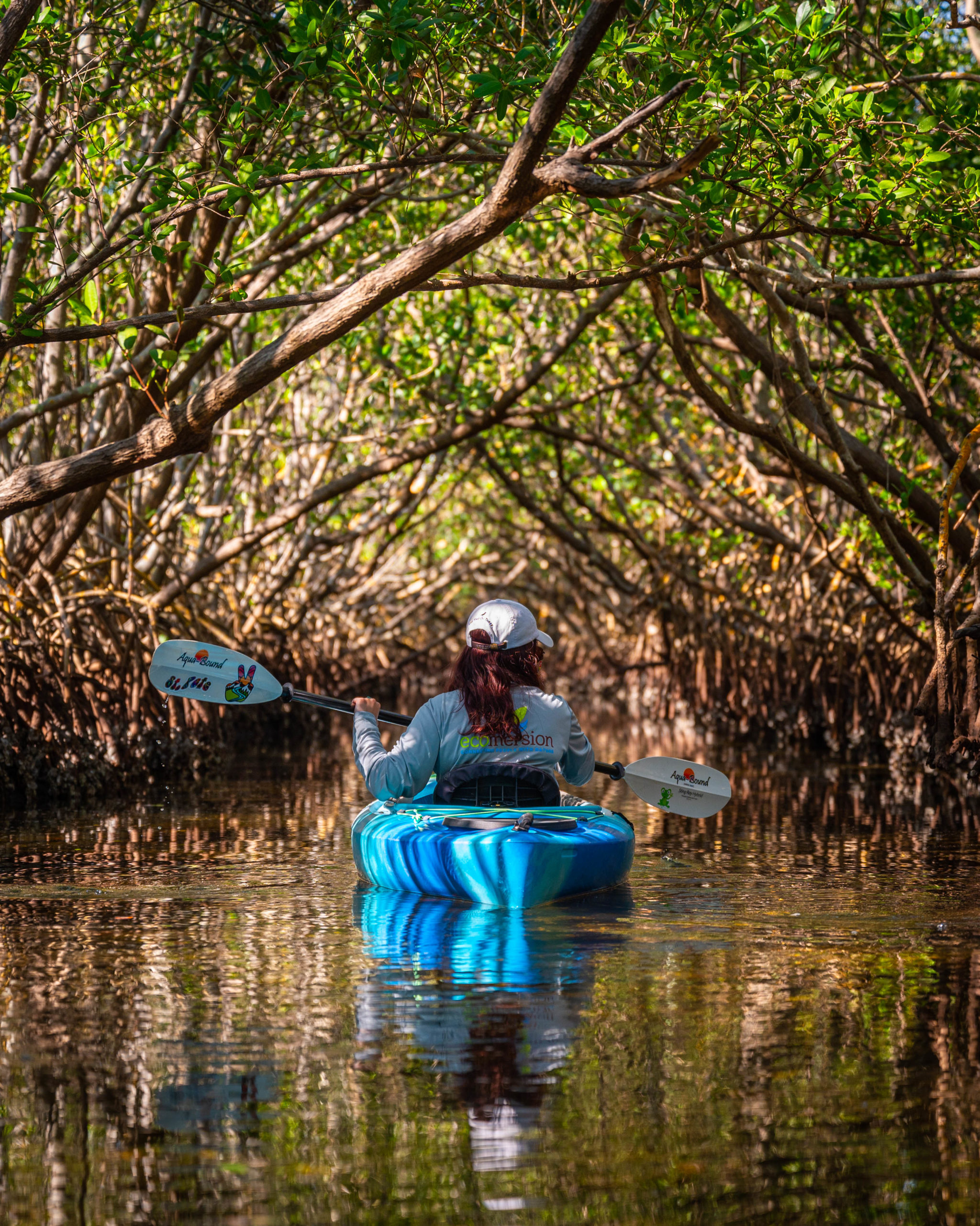 Image of a woman kayaking among mangrove trees.
